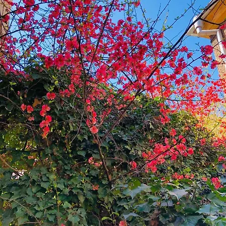 Holiday home Бургасский Дом *